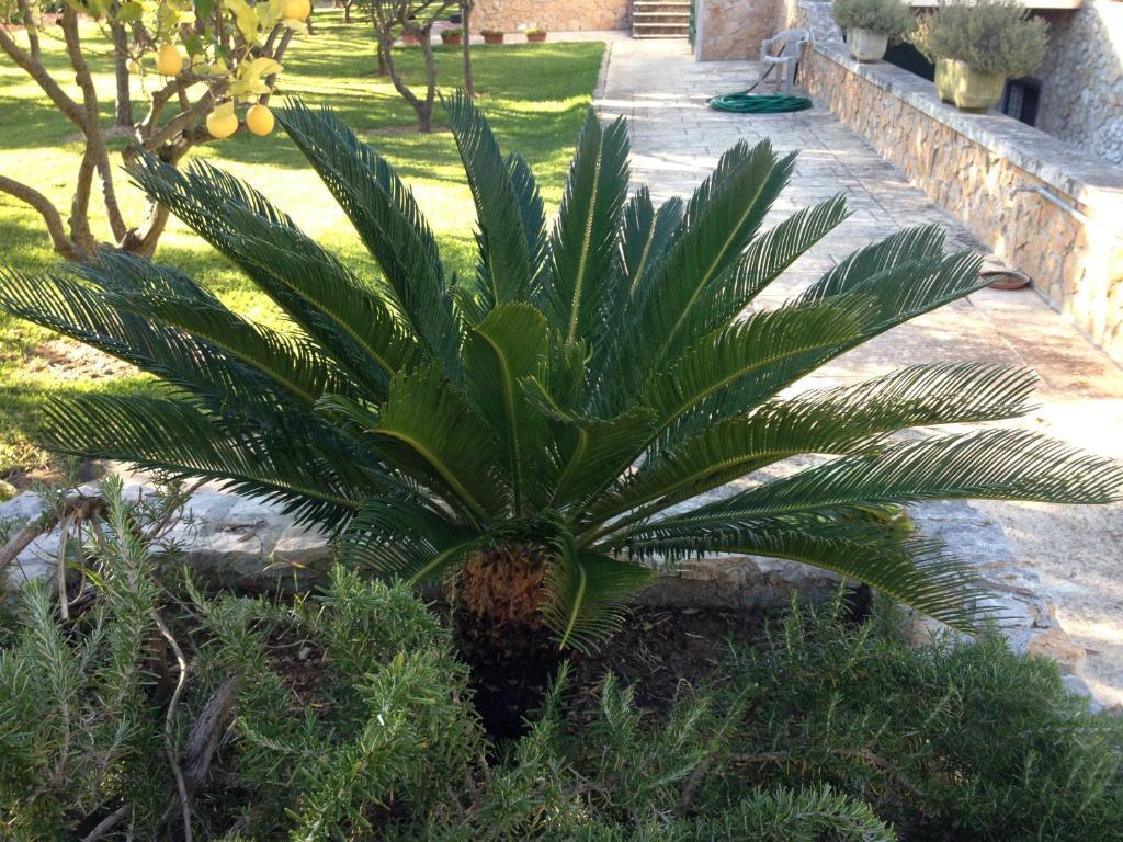Agriturismo Terra Rossa Otranto Bagian luar foto