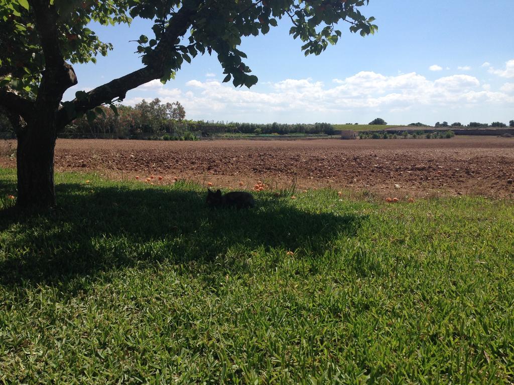 Agriturismo Terra Rossa Otranto Bagian luar foto