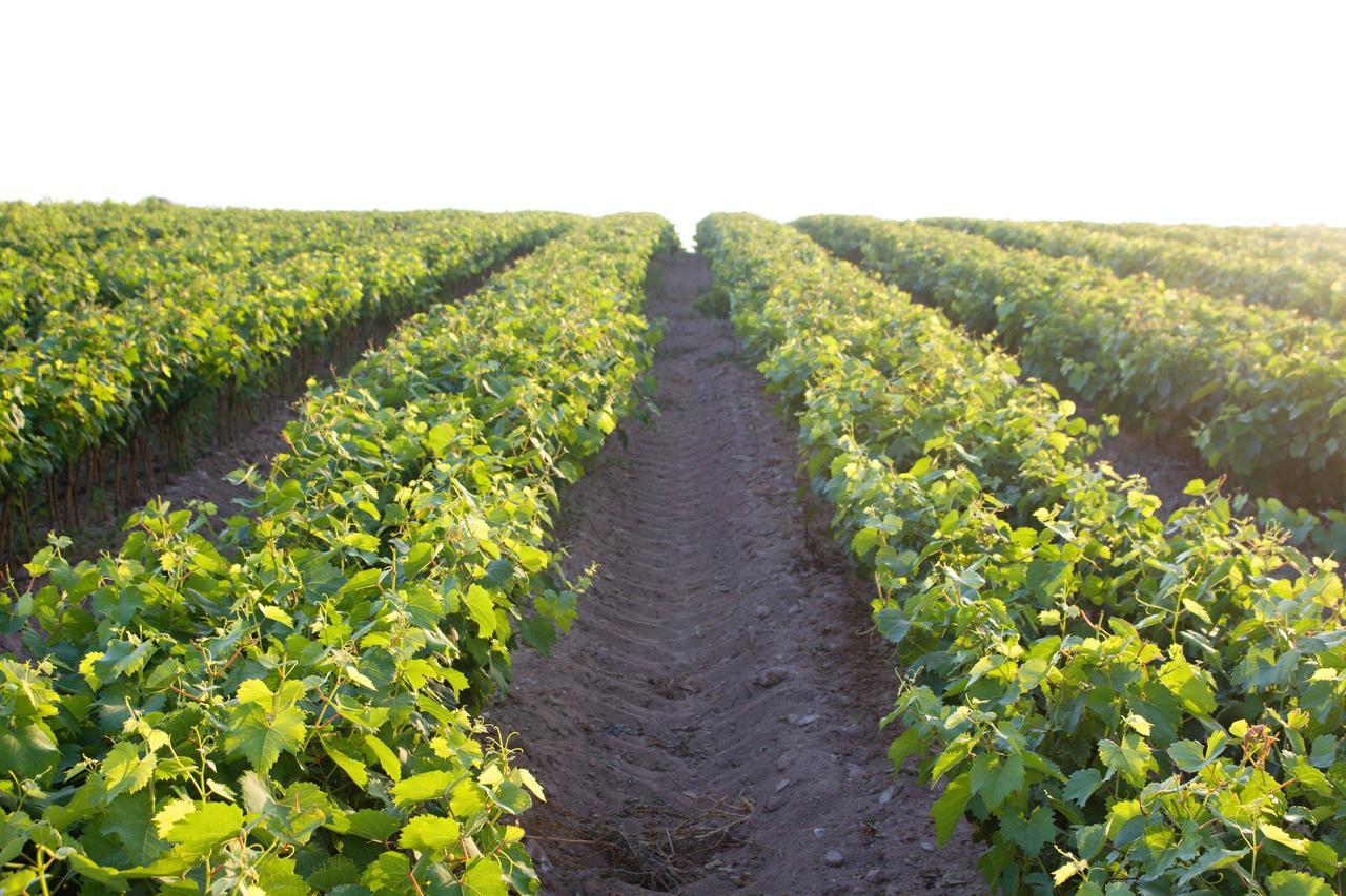 Agriturismo Terra Rossa Otranto Bagian luar foto