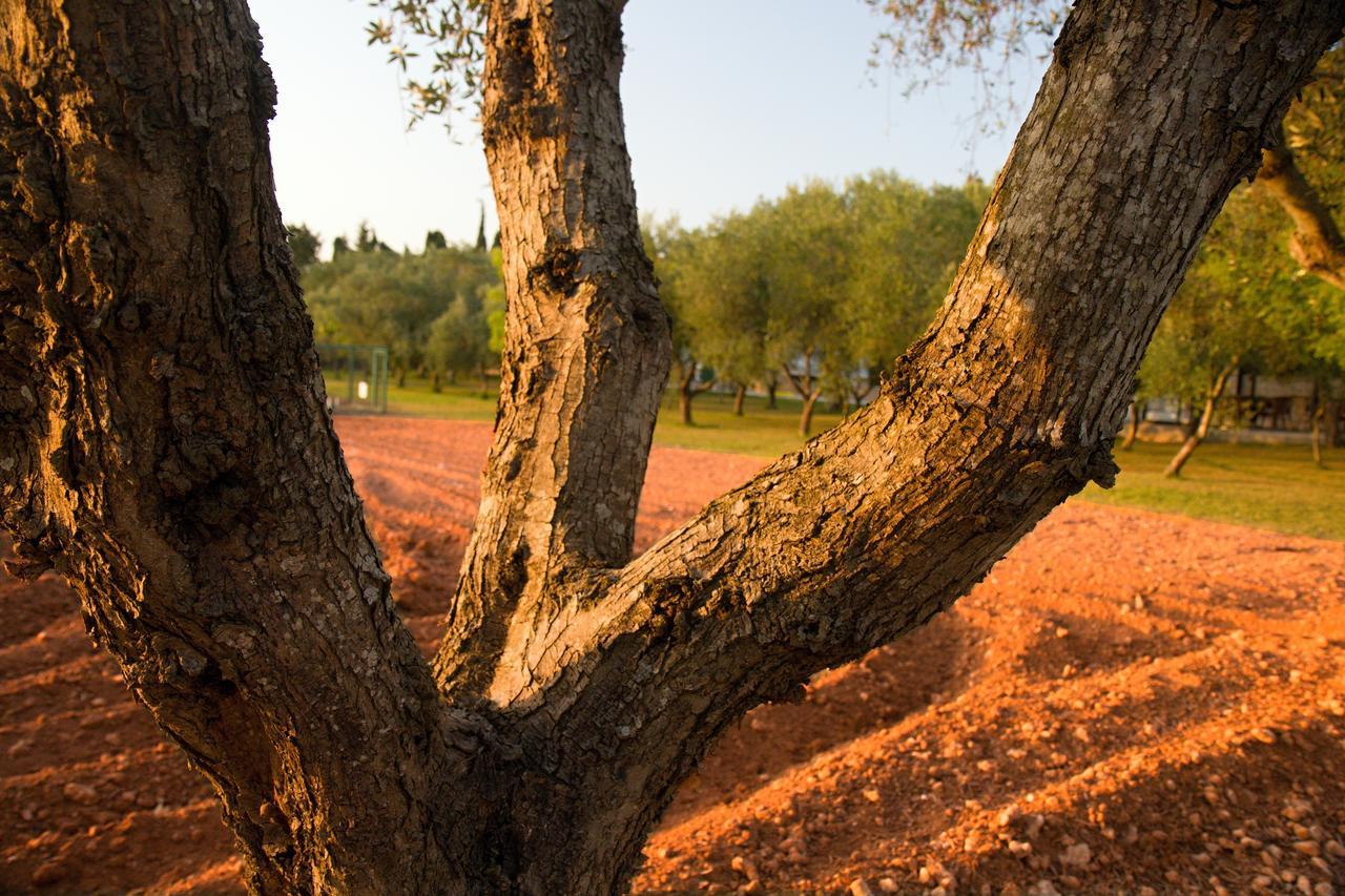Agriturismo Terra Rossa Otranto Bagian luar foto